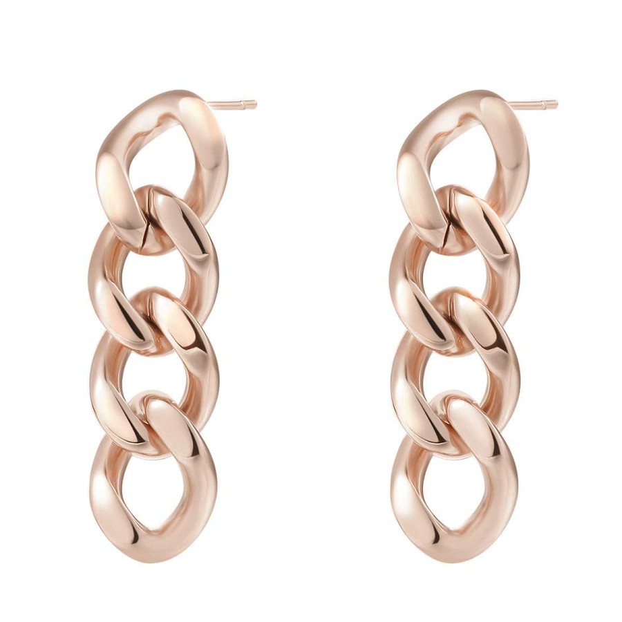 Ohrringe Hey Happiness | Panzerkette Ohrringe Chunky Chain In Rosegold Rose Gold